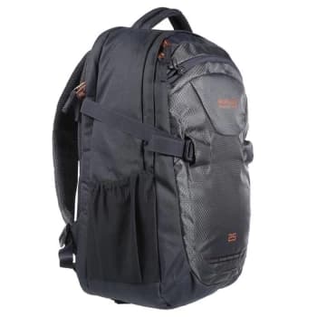 Image of Regatta Paladen 25L Backpack - IndGry/RoseG