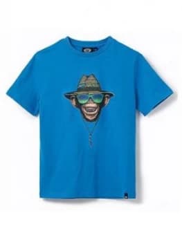 Image of Animal Boys Hang Loose Short Sleeve T-Shirt - Blue, Size 15-16 Years