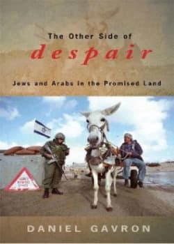 Image of The Other Side of Despair by Daniel Gavron Paperback
