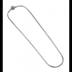 Image of Silver Charm Necklace one size