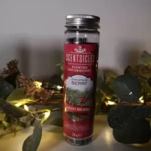 Image of 6 Scentsicles Christmas Berry Scent