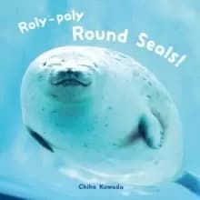 Image of Roly-Poly Round Seals!