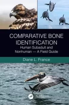 Image of Comparative Bone IdentificationHuman Subadult and Nonhuman - A Field Guide
