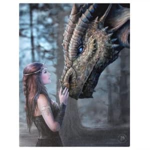 Image of Small Once Upon A TimeCanvas Picture By Anne Stokes