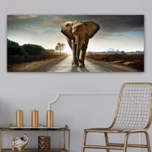 Image of YTY60414424_50120 Multicolor Decorative Canvas Painting