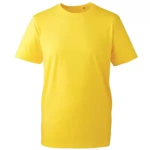 Image of Anthem Mens Organic T-Shirt (XXL) (Yellow)