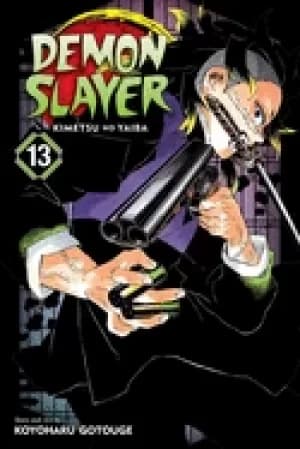 Image of demon slayer kimetsu no yaiba vol 13
