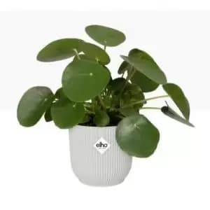 Image of Elho Vibes Fold Round 25cm Display Pot SILKY White NWT7091