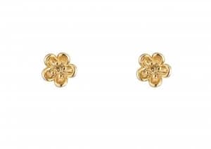Image of Estella Bartlett EB536C ladies earrings Gold Silver