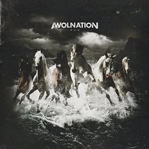 Image of Awolnation - Run Vinyl