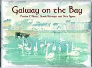 Image of galway on the bay