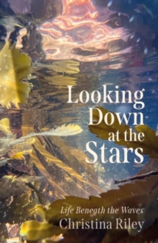 Image of Looking Down at the Stars : Life beneath the waves Hardback