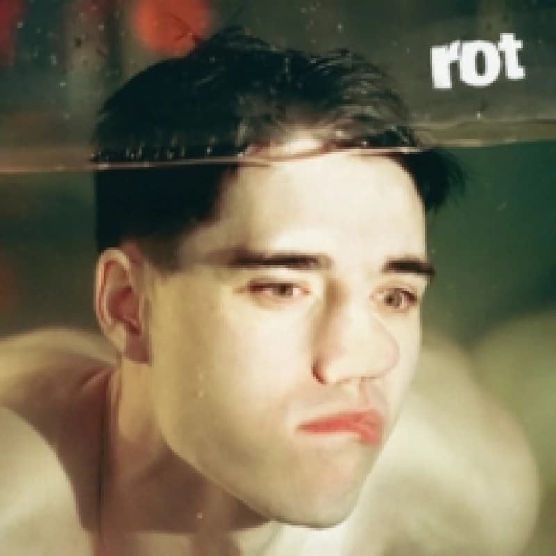 Image of Rot Vinyl
