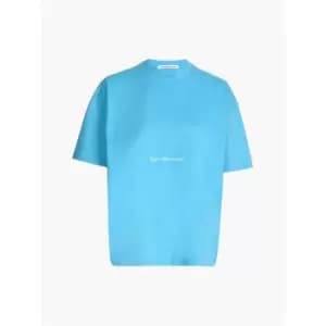 Image of Calvin Klein Jeans Institutional Boyfriend T-Shirt Womens - Blue