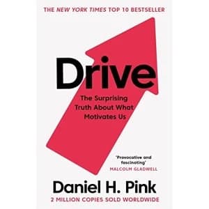 Image of Drive The Surprising Truth About What Motivates Us Paperback / softback 2018