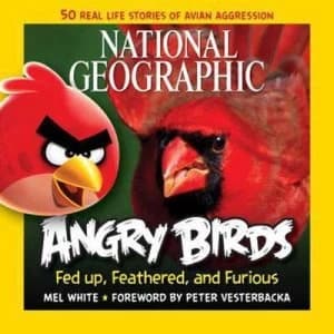 Image of Angry Birds by Mel White Book