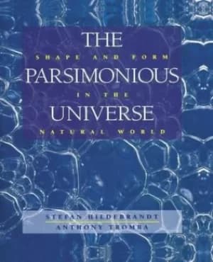 Image of The parsimonious universe by Stefan Hildebrandt