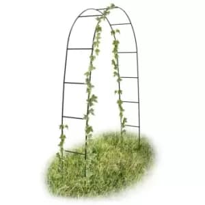 Image of 2m Black Powder Coated Steel Frame Garden Arch
