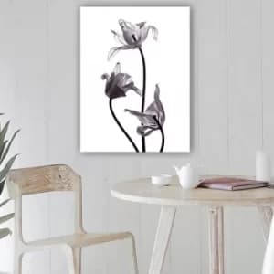 Image of 130652606_70100 Multicolor Decorative Canvas Painting