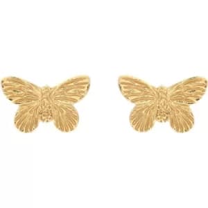 Image of Ladies Olivia Burton Gold Plated Sterling Silver 3D Butterfly Studs