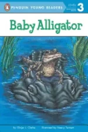 Image of baby alligator