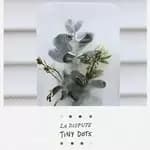 Image of Dispute (La) - Tiny Dots (+DVD)