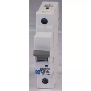 Image of Lewden E10-1B40 Sp Type B 40A 10KA Mcb