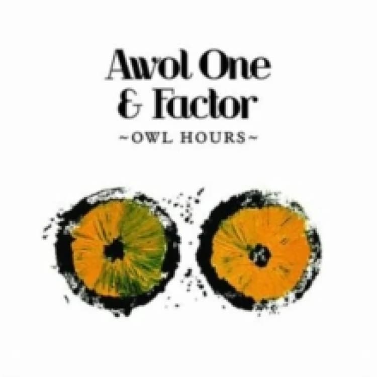 Image of Owl hours CD / Album