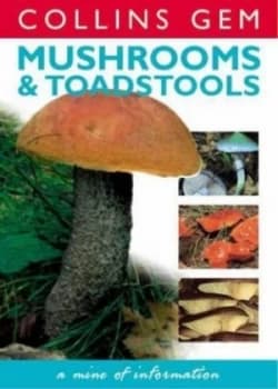 Image of Mushrooms and Toadstools by Patrick Harding Book