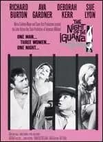 Image of night of the iguana