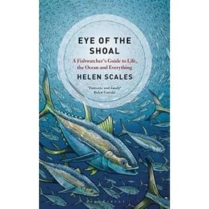 Image of Eye of the Shoal A Fish-watcher's Guide to Life, the Ocean and Everything Paperback 2018