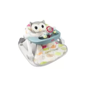 Image of Winfun Owl Sit-to-Walk Activity Centre