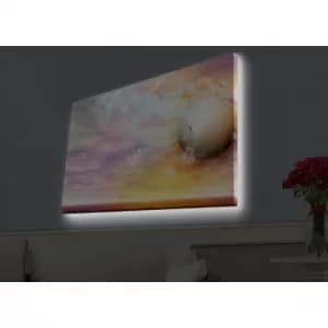 Image of 4570HDACT-041 Multicolor Decorative LED Lighted Canvas Painting