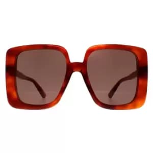 Image of Square Havana Brown GG1314S