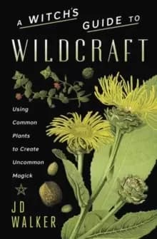 Image of A Witch's Guide to Wildcraft : Using Common Plants to Create Uncommon Magick