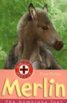 Image of Merlin by Tina Nolan Paperback