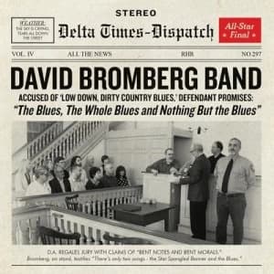 Image of The Blues the Whole Blues and Nothing But the Blues by David Bromberg Band CD Album