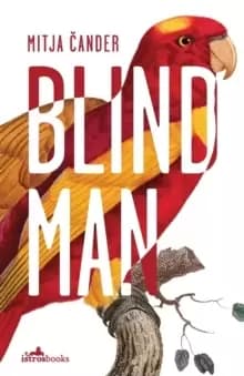 Image of Blind Man