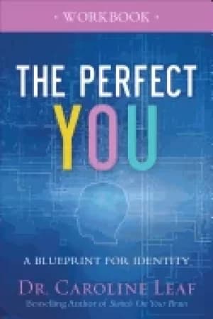 Image of perfect you workbook