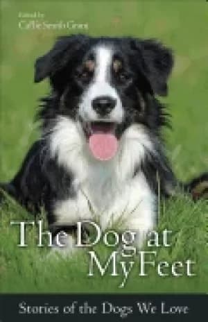 Image of dog at my feet stories of the dogs we love