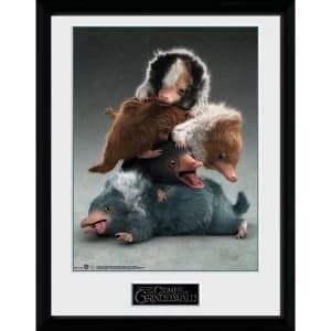 Image of Fantastic Beasts 2 Nifflers Collector Print