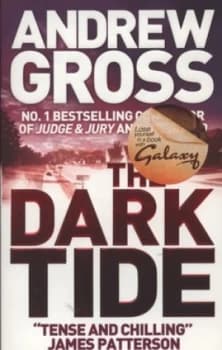 Image of The Dark Tide by Andrew Gross Paperback