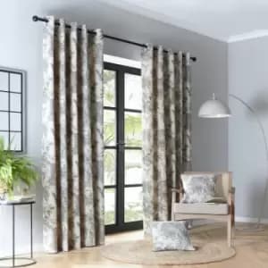Image of Saranda Tropical Print Cotton Rich Eyelet Lined Curtains, Charcoal, 46 x 72" - Fusion