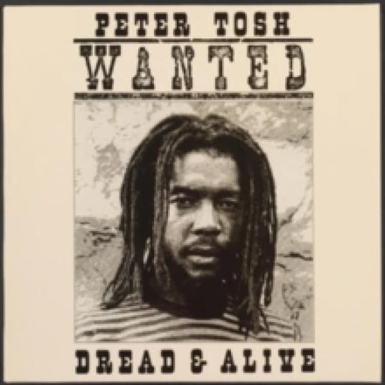 Image of Wanted Dread & Alive Vinyl