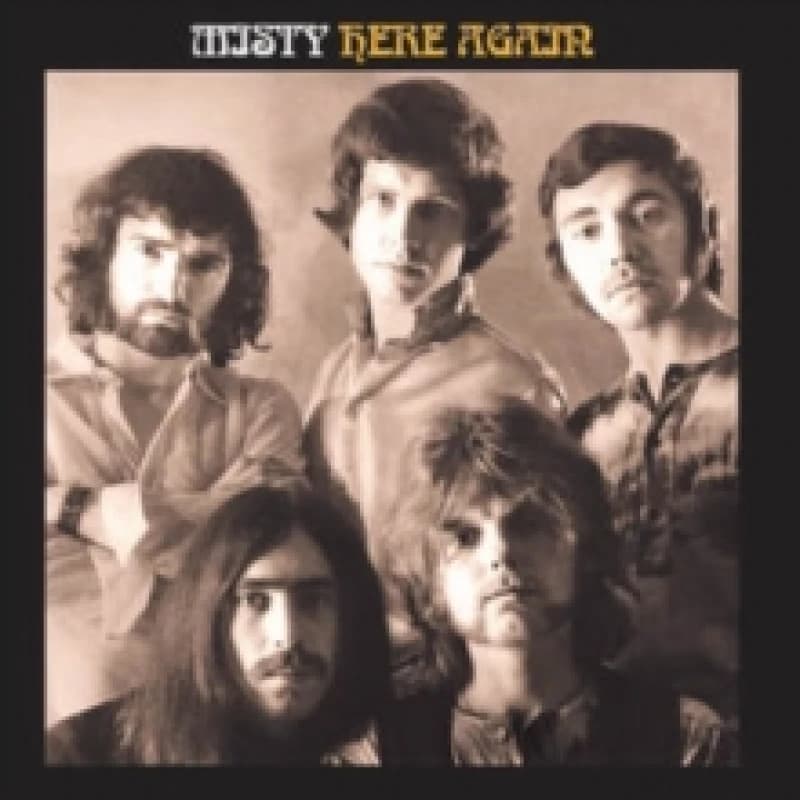 Image of Here Again Vinyl