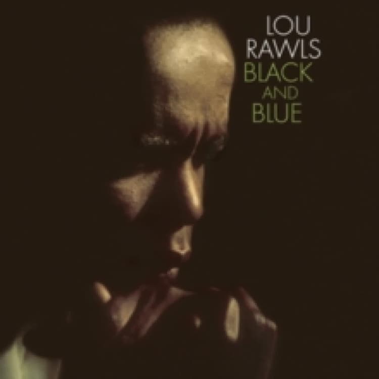 Image of Black and Blue Vinyl