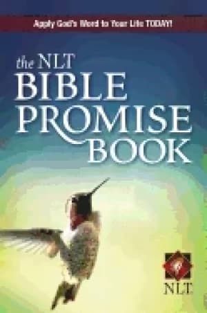 Image of nlt bible promise book