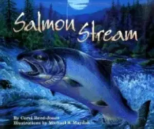 Image of salmon stream