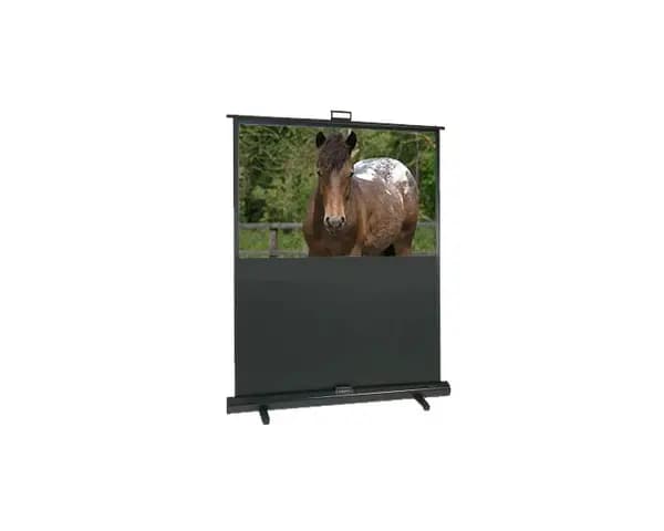 Image of Sapphire 79" SFL200P Manual Floor Projector Screen