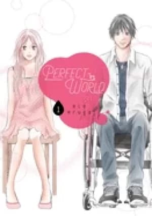Image of perfect world 1